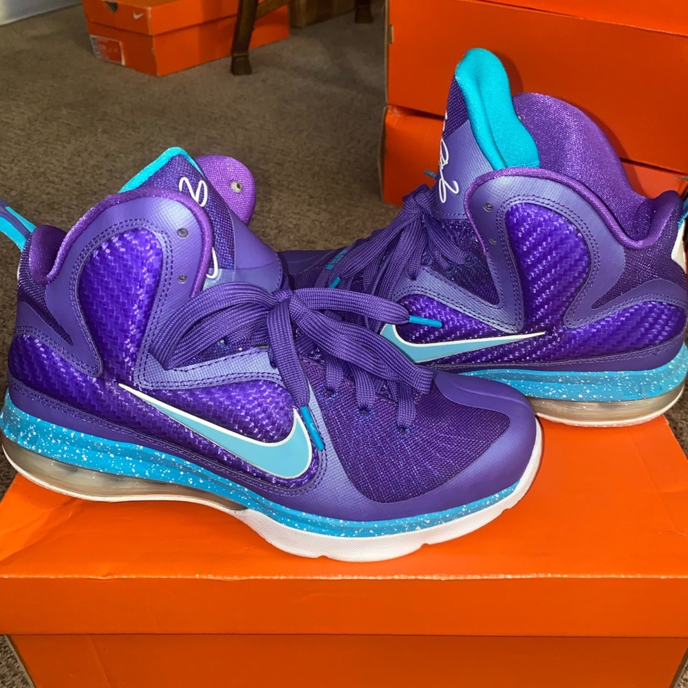 LeBron 9 hornets